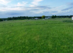 dji_fly_20250609_202042_0_1750175738263_video_cache.MP4.00_04_15_51.Still003