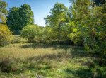 DSC07310