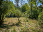 DSC07325