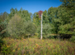 DSC07280