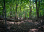 DSC07300