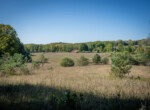 DSC07303
