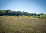 DSC07291