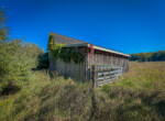 IMG_4237