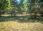 DSC07338