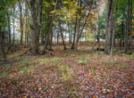DSC07390
