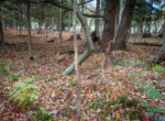 DSC07395