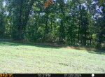 Trail Camera[MP:03]