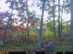 Trail Camera[MP:07]