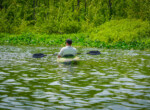 DSC00678