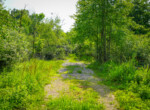 DSC00685