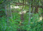 DSC00696
