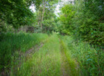 DSC00717