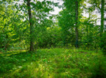 DSC00700