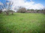 DSC08169
