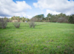 DSC08171