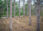 DSC08216