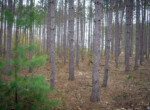 DSC08217