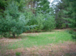 DSC08221