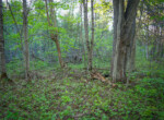 DSC00065