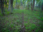 DSC00098