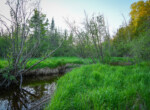 DSC00103