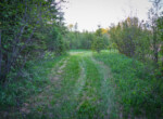 DSC00107