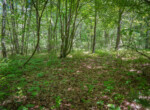 DSC00191