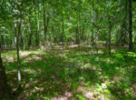 DSC00194