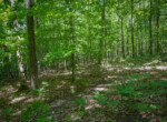 DSC00203