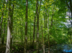 DSC00205