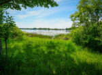 DSC00230