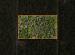 ChatGPT Image Jun 8, 2026 at 03_16_51 PM