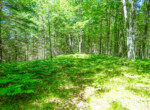 DSC00297