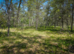 DSC00029