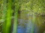 DSC00040