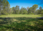 DSC00015