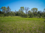 DSC00019