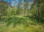 DSC00020