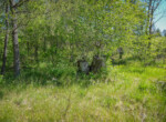 DSC00021