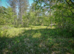 DSC00032