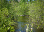 DSC00041