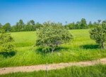 dji_fly_20250611_170812_0_1750177278694_video_cache.MP4.00_02_40_36.Still003