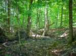 DSC02428