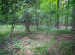 DSC00655