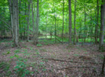 DSC00658