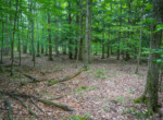 DSC00661