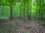 DSC00663