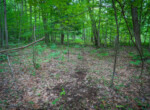 DSC00670
