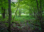 DSC00673
